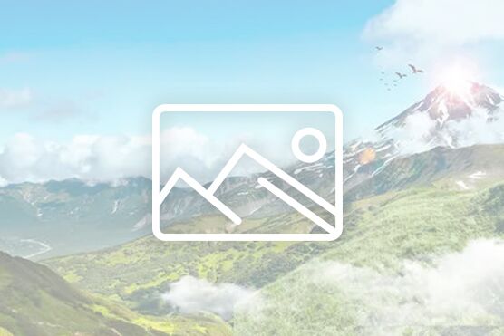 宜宾医药健康职业学院2025年普通专科 招生章程